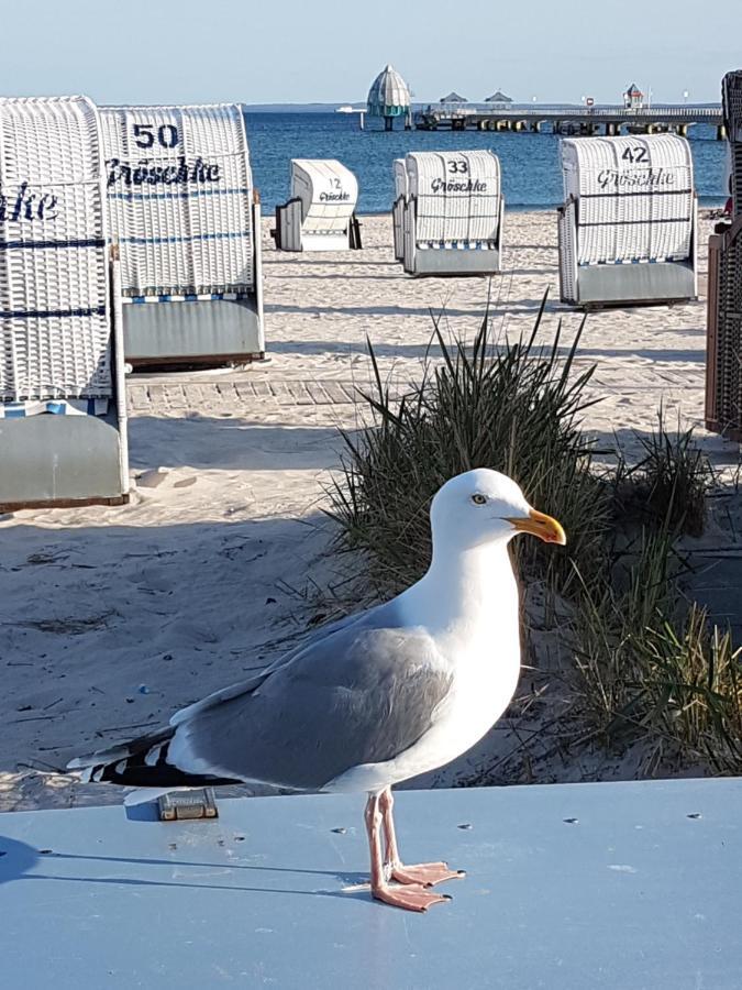 Ferien Auf Zwei Ebenen In Der Moewenkoje - Tierfreundlich Διαμέρισμα Grömitz Εξωτερικό φωτογραφία